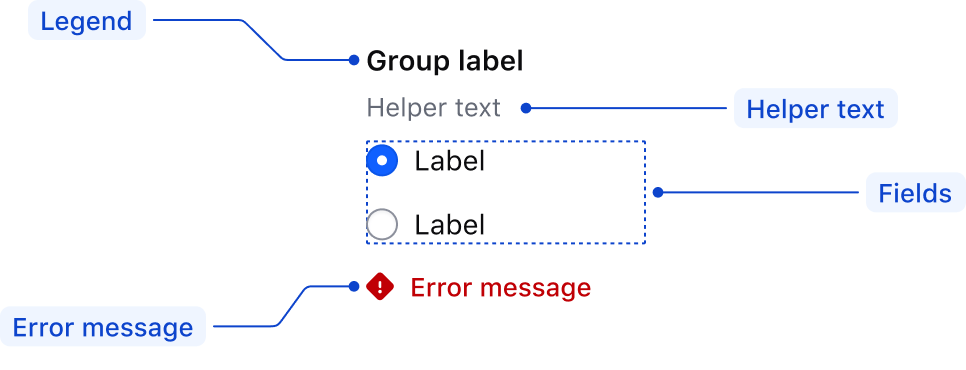 Radio group anatomy